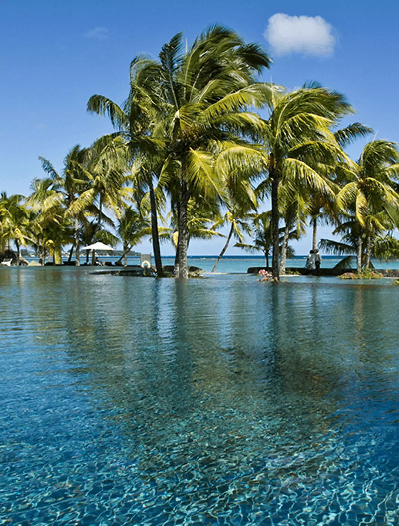 360-Grad- Strategien